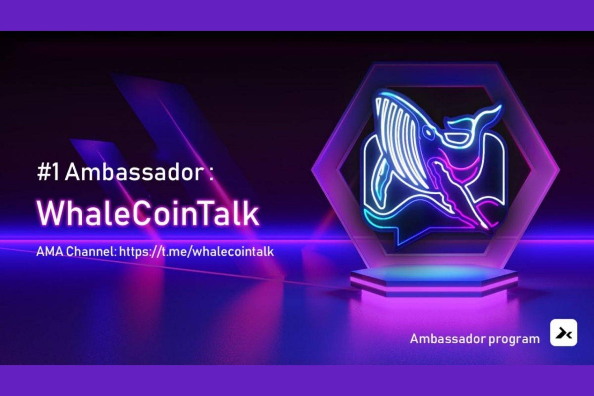 DxSale Selects Whale Coin Talk for Coveted Ambassador Program and Partnership